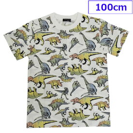 送料無料 日本製 LBC 子供服 子供 Tシャツ 半袖 カットソー 綿 男の子 恐竜 きょうりゅう ダイナソー 丸高衣料 100cm