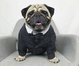 【全商品ポイント5倍】犬服 豪華なタキシード2点セット ジャケット ベスト 可愛い 犬 スーツ お買い得 ウエディング 礼服 結婚式 フォーマル リングドッグ 前開き 男の子