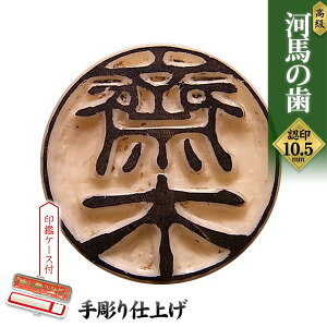 l F Jo̎ij10.5mm P[Xt yl/Fzy ͂ 񂩂z