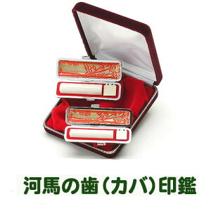 ӃZbg/EsZbg͔n̎ij k16.5mmAs13.5mmlP[Xtyzyl  Zbg 񂩂 Jo 蒤dグzysmtb-kzysoryoukzyYDKG-kzyӃZ