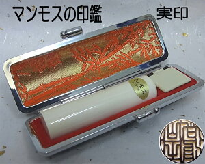 }XӁijk13.5mmlP[Xtyzylzy q nR ͂ 񂩂 }X 蒤dグ zysmtb-kzysoryoukzyYDKG-kzy z