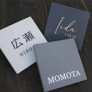 \D YCNȃ}bg ubN O[ AC{[ S3F ^C\D 100p 93x93mm Mannish100