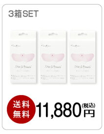 スリムデボーテ専用交換用ゲルパッド3箱（交換6回分）/Slim de Beaute PAD　《メール便で送料無料》