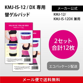【DX兼用】KMJ-IS-12 / DX専用替ゲルパッド 2袋（12枚入）【メール便で送料無料】