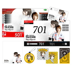 DARTSLIVE PLAYER GOODS {eRIZbg