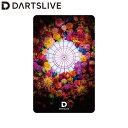 DARTSLIVE CARD #057 ＜13＞　(ダーツ カード)