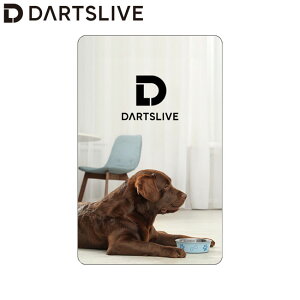 DARTSLIVE CARD #058 06@(_[c J[h)