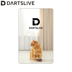DARTSLIVE CARD #058 07@(_[c J[h)