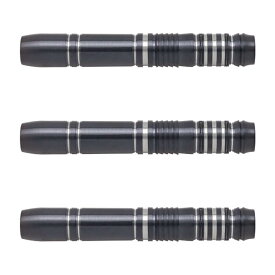 TARGET JAPAN(ターゲットジャパン) REBEL REBORN CYCLON(サイクロン) 2BA ＜101602＞ ジョーイ・タム選手モデル　(ダーツ バレル ダーツセット)