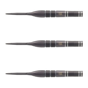 TARGET(^[Qbg) NATHAN ASPINALL×ECHO SWISS POINT STEEL 23g 190290 lCTEAXsiI胂f@(_[c o _[cZbg)