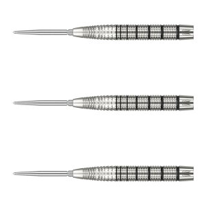 TARGET(^[Qbg) EXO(GN\) 02 SWISS POINT STEEL 24g 190310@(_[c o _[cZbg)