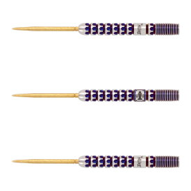 TARGET(ターゲット) LUKE LITTLER WORLD CHAMPION 2025 EDITION SWISS POINT STEEL 23g ＜190700＞ ルーク・リトラー選手モデル　(ダーツ バレル ダーツセット)
