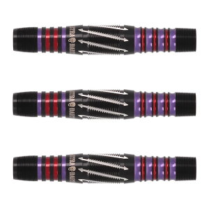 DYNASTY(�_�C�i�X�e�B�[) ASTRA DARTS DRAGOON PW(�h���O�[�� �p�������E�F�C) 19.5g 2BA �X�E���ȑI�胂�f���@(�_�[�c �o���� �_�[�c�Z�b�g)