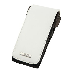 CAMEO(JI) _[cP[X TINY BASIC(^Cj[ x[VbN)@(_[c P[X)