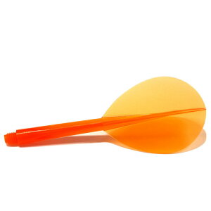 CONDORtCg NAIW O eBAhbvRhtCg Flight (\tg_[c _[ctCg _[c tCg eBAhbv Rh _[c H darts flight)