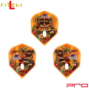 TIGA×L-Flight PRO(eBK×GtCg v) RSq 2023 VFCv IW RSqI胂f@(_[c tCg)