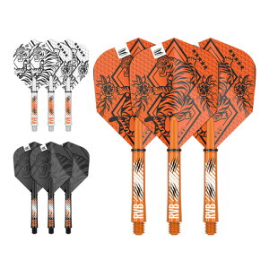 TARGET(^[Qbg) RAYMOND VAN BARNEVELD INKtCg&Vtg Lbg ChE@Eo[ixhI胂f@(_[c tCg Vtg)