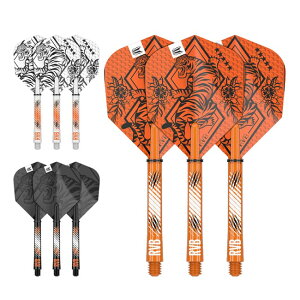 TARGET(�^�[�Q�b�g) RAYMOND VAN BARNEVELD INK�t���C�g&�V���t�g �L�b�g ���C�����h�E���@���E�o�[�i�x���h�I�胂�f���@(�_�[�c �t���C�g �V���t�g)