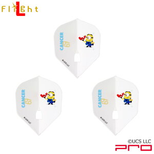 ~jI L-Flight PRO 12V[Y CANCER(ɍ) VFCv zCg