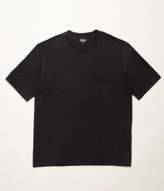 ARPENTEUR 'PONTUS'(BLACK)