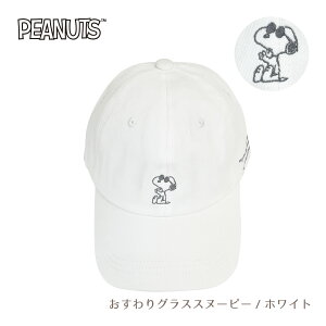 Xk[s[ SNOOPY s[ibc PEANUTS Lbv Xq t[TCY q jq ڂ nbg q LN^[  w w Z l ʊw  t ubN   zCg F v[