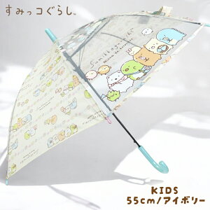 ݂R炵 qP 50cm 55cm OXt@Co[ Wv P ʊw w P  ̎q JP wZ w  V q w ct 킢 v[g