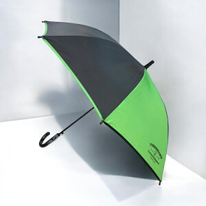 yX[p[SALEN[|Ώہz{[CY 55cm P OXt@Co[ j̎q w JP t S茳 qWvP LbY KIDS w w q JP e58cm e55cm ʊw w j