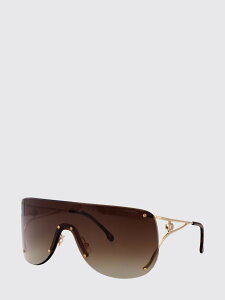 CARRERA �T���O���X �T���O���X�E���K�l ���f�B�[�X �u���E�� Sunglasses CARRERA3006/S Brown �֐� �������� 2026SS gi