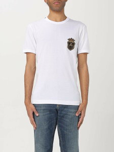 ドルチェ＆ガッバーナ(Dolce&Gabbana) メンズTシャツ・カットソー 