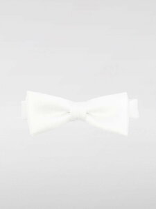 �W������ ���^�i�x �R�� �f �M�����\�� JUNYA WATANABE COMME DES GARCONS �n�C�e�N�A�N�Z�T���[ �t�@�b�V�������� �����Y �z���C�g Hi-Tech Accessories WOK402 �֐� �������� 2025SS gi