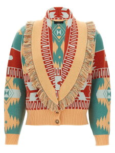�A���k�C ALANUI �Z�[�^�[ �j�b�g�E�F�A ���f�B�[�X �}���`�J���[ Knitwear 'Icon' Thistles LWHB026R26KNI00151195119 Multicolor �֐� �������� 2026SS ju