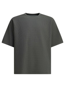 �S�[���h�E�C�� GOLDWIN T�V���c �����Y �O���[ T-shirts WF Light crew-neck T-shirt GL65143CL Grey �֐� �������� 2026SS vi