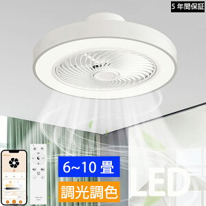 yyV1 5Nۏ؁zV[Ot@Cg y  led V[OCg 6 8 10 F Rt 铔 DC[^[  VƖ k ȃGl ߓd rO Q 