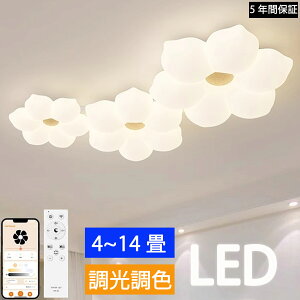 y5Nۏ؁zV[OCg LED    rO Q q kch 68101214 F Rt dC Ɩ  VƖ X}z CeAƖ 