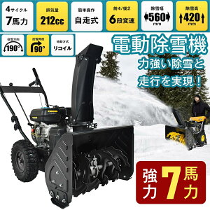 y2025VJzd@ GW @ d 7n  ƒp @ Vx d@ nCp[  4TCN ᕝ650mm 65cm ፂ420mm 42cm 190° 6iϑ ~ 