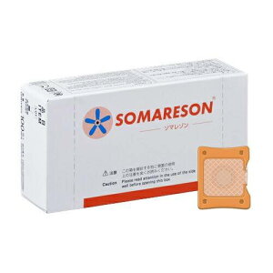 [2ނI] \}] L / \}Zvg L 100 (7mm) SOMANIKS ( \}jNX ) mW