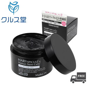 Make.iN HARI XsL[ vX qgזE I[C WF ( 220g j }CNj[h ej Z~h CICA EGF FGF ێ XLPA make in HARI SPICULE SPICULE + I[C WF