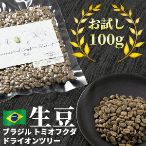 R[q[   100g uW g~ItN_ hCIc[   O[R[q[  ^pbN