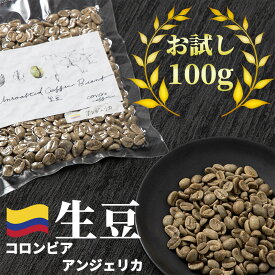 コーヒー 生豆 お試し 100g コロンビア アンジェリカ 珈琲 少量 グリーンコーヒー 自家焙煎に 真空パック