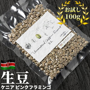 R[q[   100g PjA sNt~S   O[R[q[  ^pbN