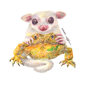 ステッカー シール トカゲ カエル 爬虫類 車 スマホ パソコン iPhone バイク かわいい おしゃれ 携帯 防水 濡れても大丈夫