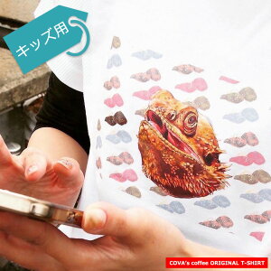 TVc LbYp tgAS qp  100%  zCg ঒ރObY CXg fUCi[ 낢 I eB[Vc