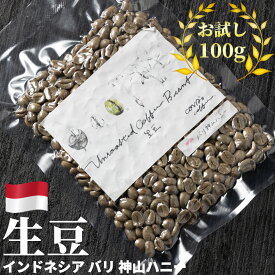 コーヒー 生豆 お試し 100g インドネシア バリ 神山ハニー 珈琲 コーヒー豆少量 グリーンコーヒー 自家焙煎に 真空パック