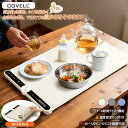 【2025新作&即納】 保温プレート 8秒急速加熱 9段階温度モード（40～120℃） タイマー機能付き 安心のチャイルドロッ…