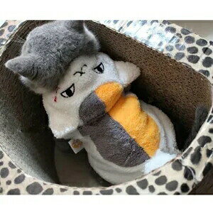 yzLfUĈt[X ^phEFA p[J[ Z[^[ jbg ~ ybgEFA gCv[h ` |jA V[Y[Ή RXv 킢 