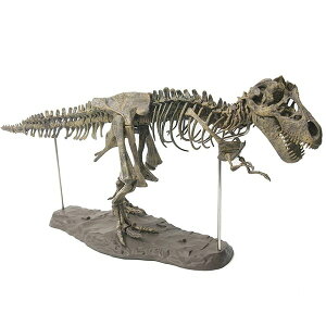 eBmTEX i ͌^  tBMA 70cm ^ XPg gݗĎ ͌^Zbg R Ȋw CeA fBXvC PVC ͌^ Wp ٕ  gȒP T-REX 54