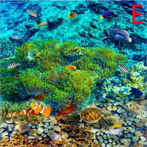  3D tA}bg C  i iF tH[ CN h fM ~߃V[g   V ͂V[ gyma483