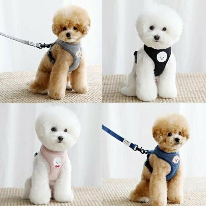 楽天市場 ハーネス マルチーズ 小型犬 おさんぽ おでかけ お出掛け おしゃれ オシャレ かわいい キャラクター 韓国 マルチーズ ビションフリーゼ おしゃれ Whitesweet