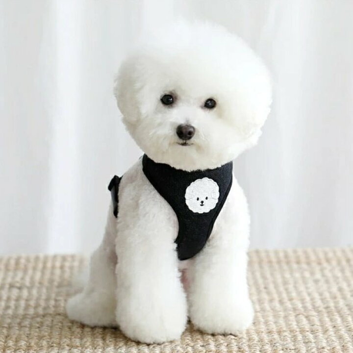 楽天市場 ハーネス マルチーズ 小型犬 おさんぽ おでかけ お出掛け おしゃれ オシャレ かわいい キャラクター 韓国 マルチーズ ビションフリーゼ おしゃれ Whitesweet