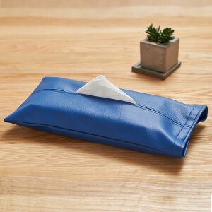 { ݂艺 eBbVJo[ eBbVP[X PVC U[ v   [vt eBbV Jo[  ԗp 킢   k \tgpbN Ȃ Ǌ| e[u  